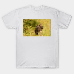 111516 Vulture T-Shirt